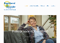 Beeldend Inzicht