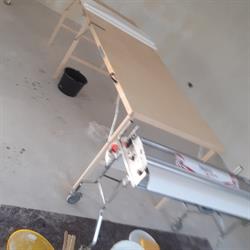 Renovlies Meister