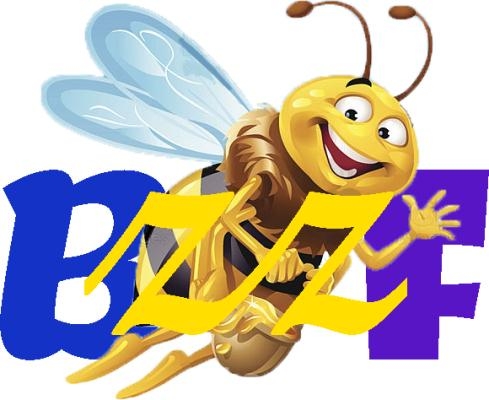 BizzFund