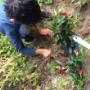 Natuurspeeltuin en moestuin