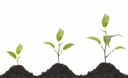 Ondernemingsplan-voorbeeld