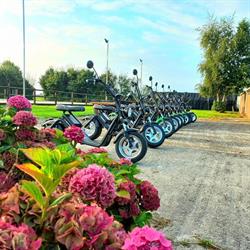 Stal Westerwolde