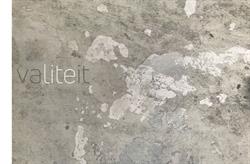 Valiteit