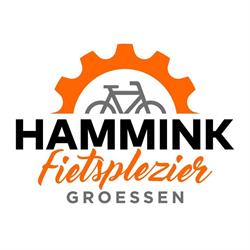 Hammink Fietsplezier