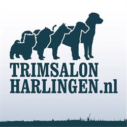 Trimsalon Harlingen