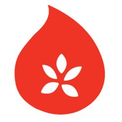 Salsa Shop Groningen