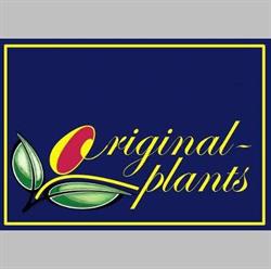 Original-plants BV