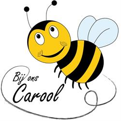 Kinderopvang 'Bij ons Carool'