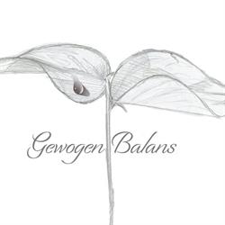 Gewogen Balans