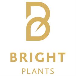 Bright Plants