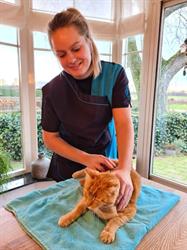 HAAR. kattentrimsalon