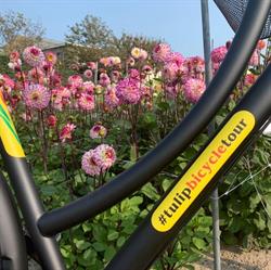 Tulipbicycletour.com