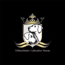 Oldambster Labrador Heem