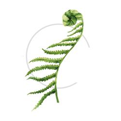 Voedselbos SchaikseWeelde en NDE-centrum Groene Weelde