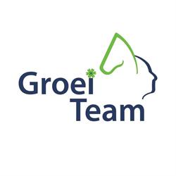 Groeiteam Teamactiviteiten