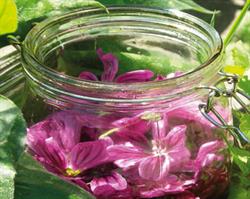 Blooming Naturals, Handmade Herbal Skinfood