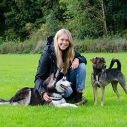 Hondenuitlaatservice Door Lisa