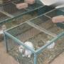 Dierenhotel Camping Kennels