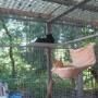 Dierenhotel Camping Kennels