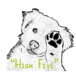 Trimsalon '' High Five''