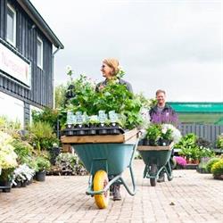 Tuinplantwinkel Nunspeet
