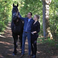 Quality Horses Kruyt