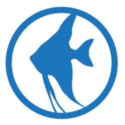 Aquariumvissenwinkel.nl