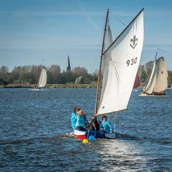 Scouting Maasland