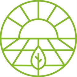 Sunleaves