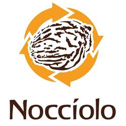 Nocciolo