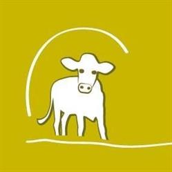 Olthof Melkvee & Zorgboerderij