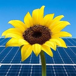 Energiecoöperatie Slotania