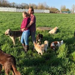 The Dogwalker