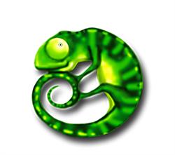 Cameleon BV
