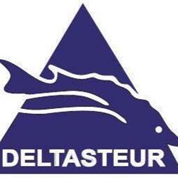 Deltasteur