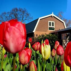 B&B de Hoffstal