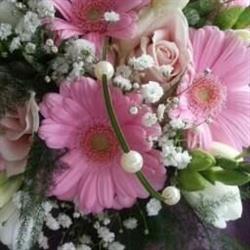 Flowers by Monica