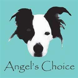 Angel's Choice