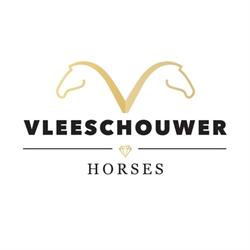 VW Horses
