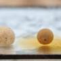 boilies