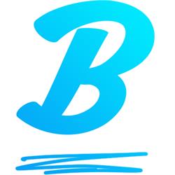 Blauwr - Jouw full-service marketing afdeling op afstand