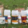 The Horsup Company product overzicht