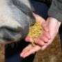 Natural'Moov 
Ter ondersteuning van soepele spieren en gewrichten van jouw paard