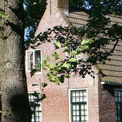 Gastenverblijf In De Wij