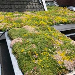 UWgroendak.nl