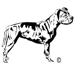 Powerdog Supplies