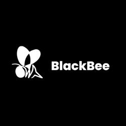 Black Bee Internetmarketing