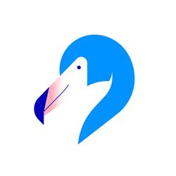 Blue Flamingos Online Marketing & Web Development