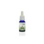 CBD olie 10% cannabidiol flesje