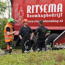 Ritsema boomkapbedrijf